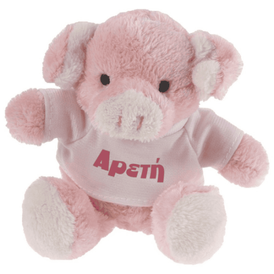 Γουρουνίτσα Με Εκτυπώσιμο Μπλουζάκι Sublimation Για Το Πιο Χαριτωμένο Personalized Δωράκι